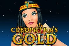 Casinia game-thumb